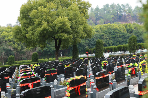 武汉九峰陵园墓区墓地价格表2025更新