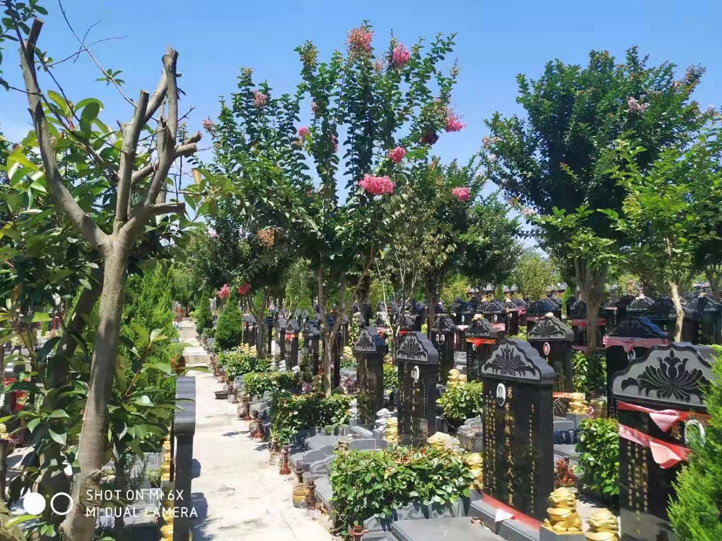 归元公墓墓地陵园有哪些？