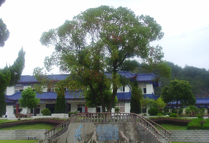 汉阳红山寺陵园墓地价格公墓咨询处-湖北红山寺殡葬服务中心