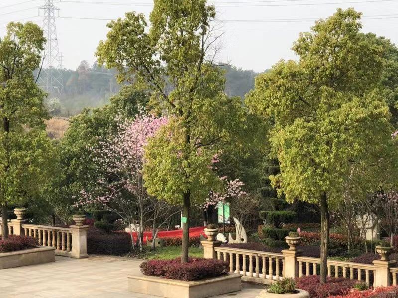 聊聊九龙宫陵园什么样的墓地适合亲人安葬呢？