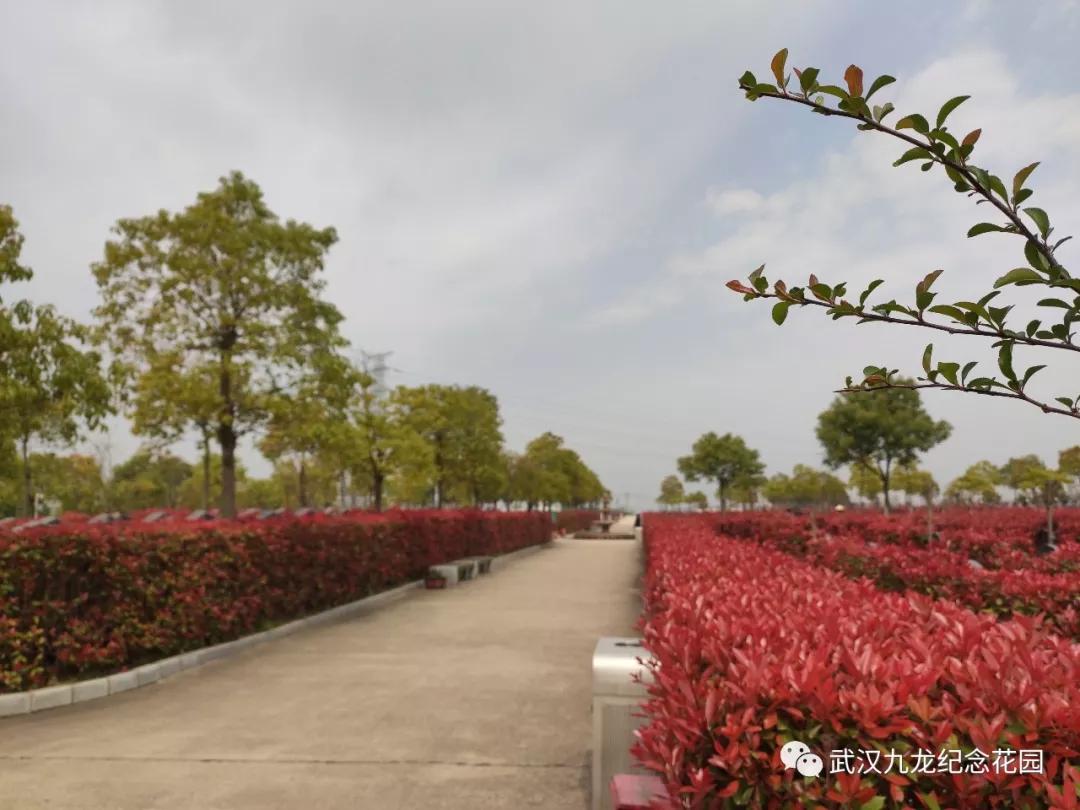 武汉市墓地公墓怎么样？陵园地址在哪？