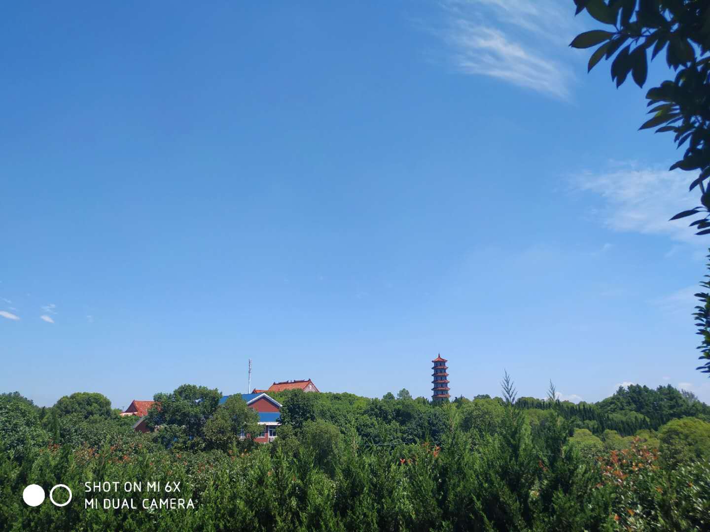 武汉归元陵园墓地公墓价格表:墙墓墓地价格:5900经济型墓地价格:39900传统型墓地价格:58900小艺术墓地价格:76900西南朝向墓地价格:81900天堂十五区墓地价格:83900,119000高档墓地价格:89900(以上归元公墓价格仅供参考用,详情请咨询工作人员)武汉黄陂归元陵园价格