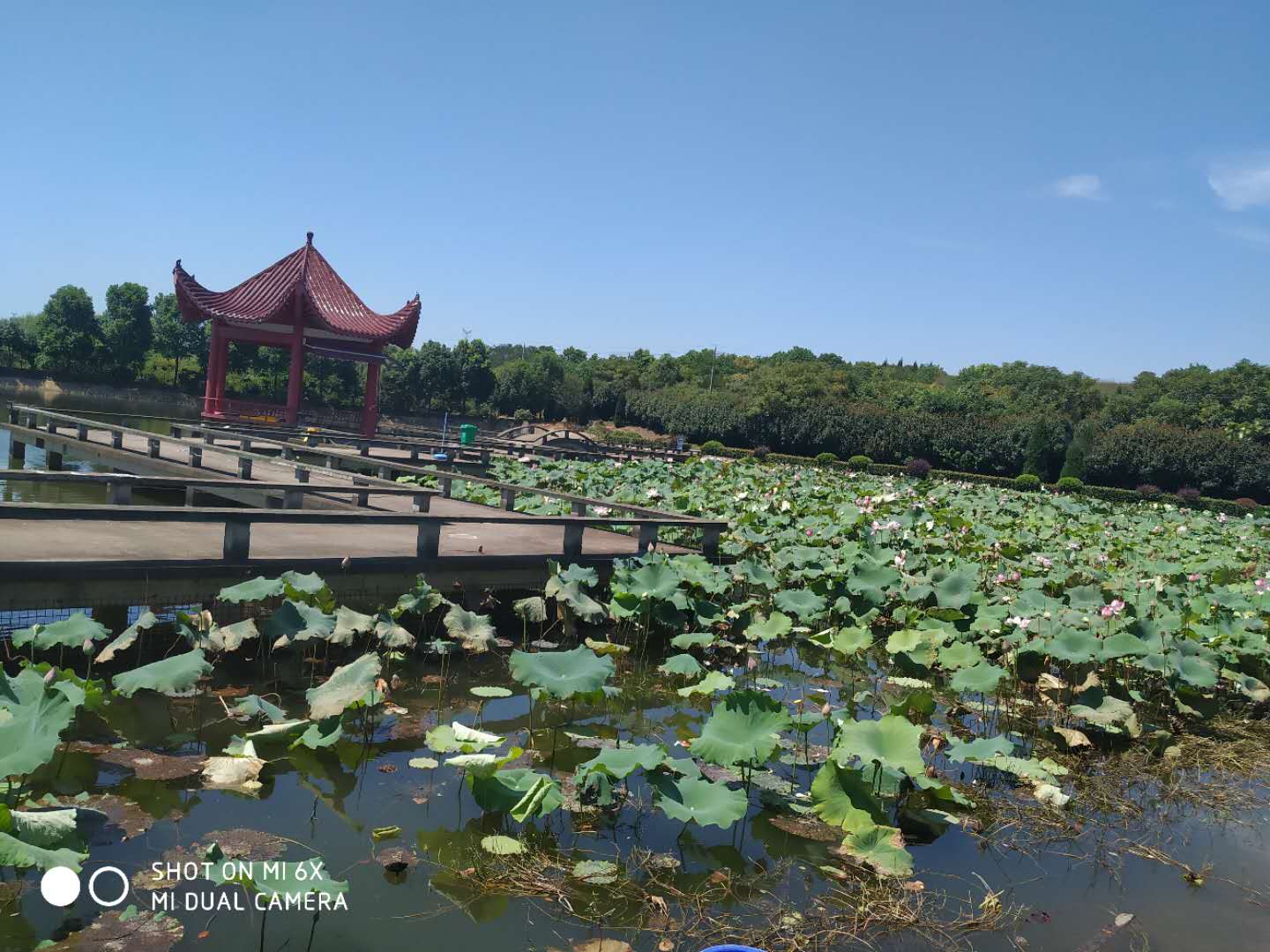 浅谈归元墓地价格陵园公墓价格-墓地信息解答