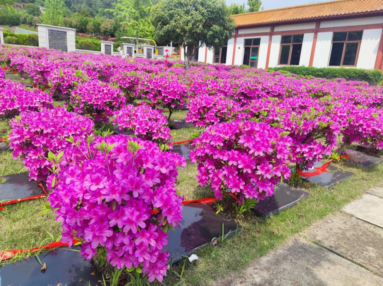 聊聊龙泉山-孝恩园陵园墓地费用-查询-石材-价格