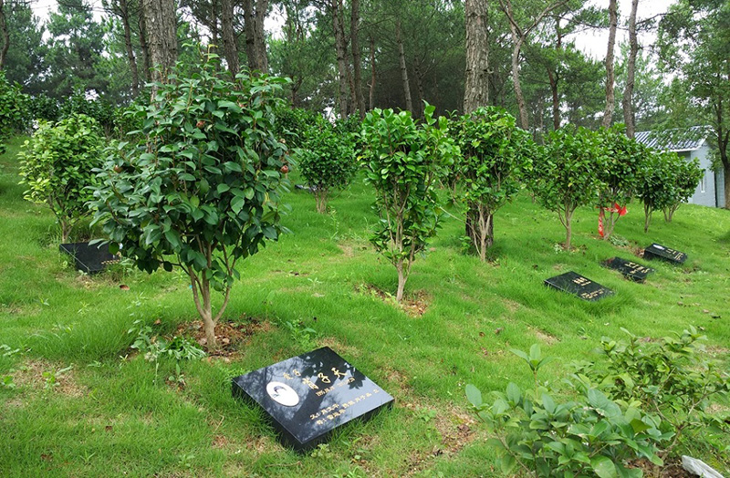 武汉长乐园陵园树葬墓地价格，69900元（双穴）保留骨灰。长乐园陵园在树葬规划上独具匠心，周边配套设施完善，环境清幽雅致。价格体系透明合理，包含了墓碑、树木养护等多项服务。(本站内容及价格信息仅供参考) 购墓咨询接待员微信：zx2z999武汉黄陂长乐园陵园价格