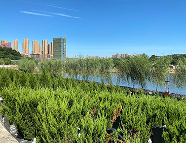 聊聊流芳陵园墓地公墓陵园墓地费用-查询-石材-价格