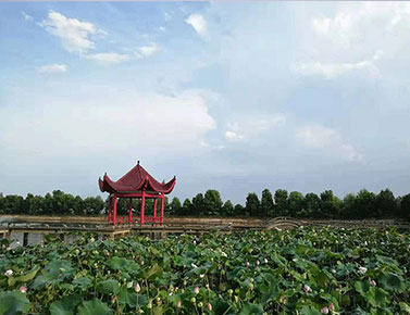 武汉归元陵园的价格区间，1、普通单穴墙墓墓地5900元起步价格，2，经济双穴实惠款：39900元起步。3，古典艺术双穴立碑：58900元起步。4，传统艺术双穴立碑：73900元左右起。5，高端双穴左右安葬立碑：83900元起步。6，传统双穴大立碑 89900元左右起。这些墓地墓型是归元陵园多个公墓园区的部分在售款。(本站内容及价格信息仅供参考) 武汉【归元陵园墓地】电话:027-88311211（销售中心）归元陵园公墓价格查询