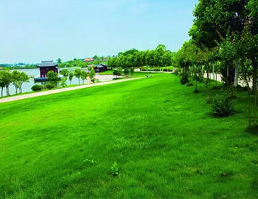 探讨长乐园陵园墓地-长乐园陵园墓地价格-购墓-居民服务